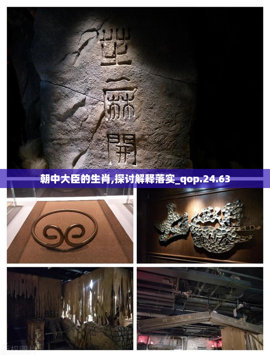 朝中大臣的生肖,探讨解释落实_qop.24.63