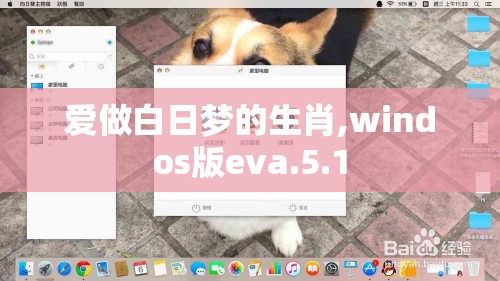 爱做白日梦的生肖,windos版eva.5.1