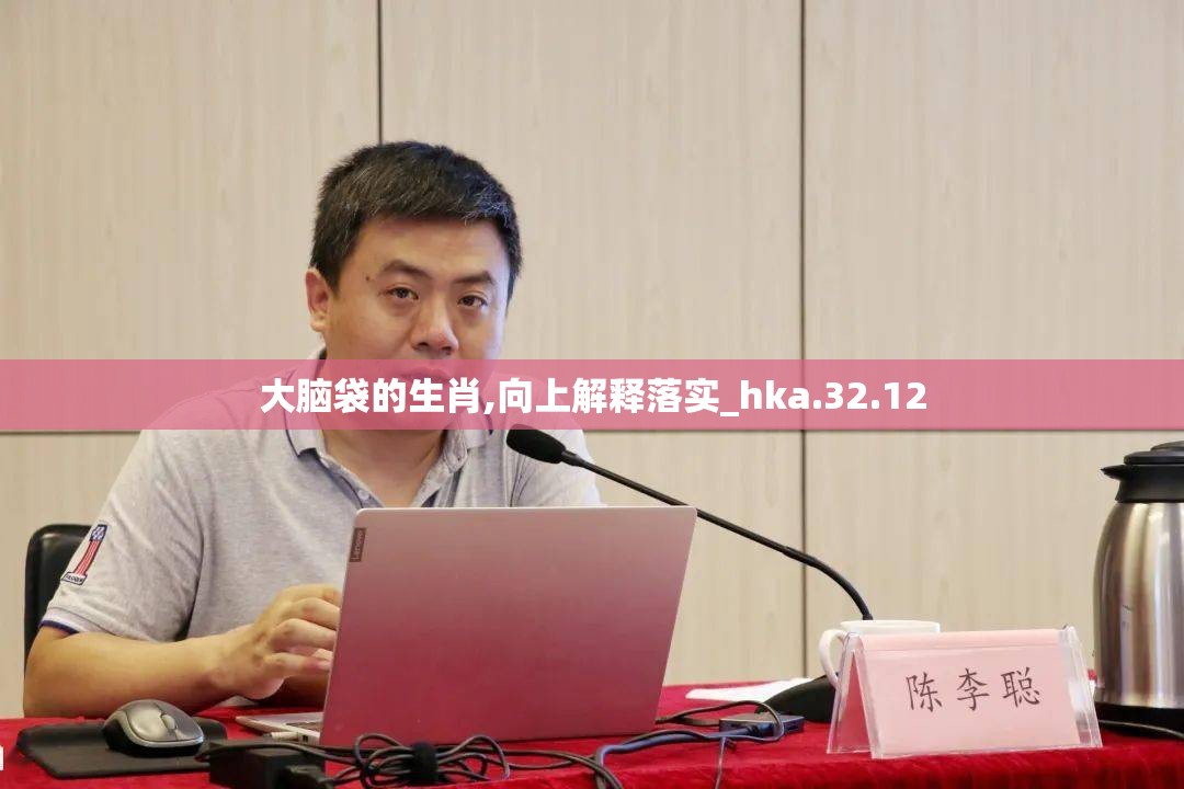 大脑袋的生肖,向上解释落实_hka.32.12