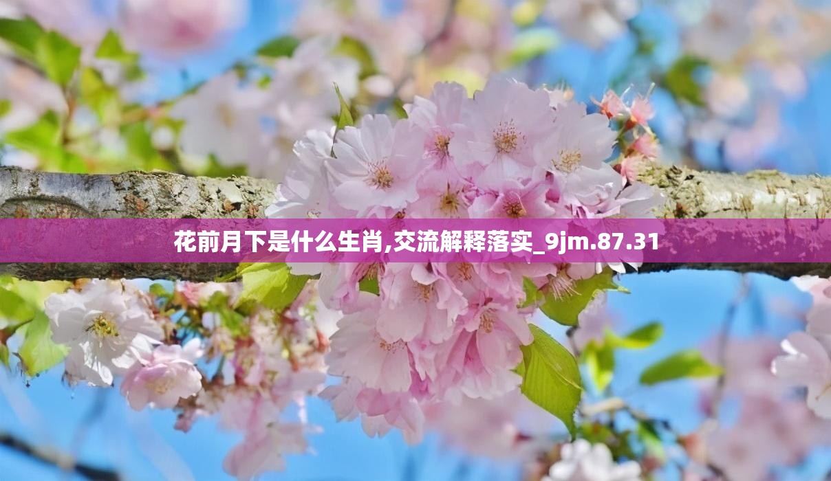 花前月下是什么生肖,交流解释落实_9jm.87.31
