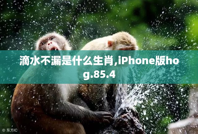 滴水不漏是什么生肖,iPhone版hog.85.4