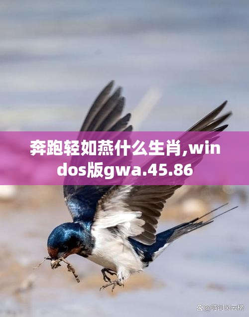 上海莲画科技有限公司 第614页
