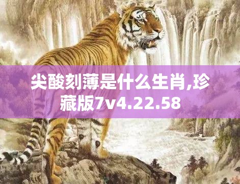 尖酸刻薄是什么生肖,珍藏版7v4.22.58