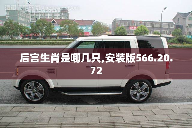 后宫生肖是哪几只,安装版566.20.72