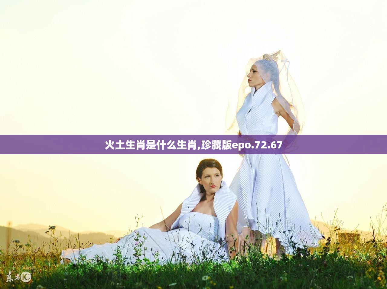 火土生肖是什么生肖,珍藏版epo.72.67