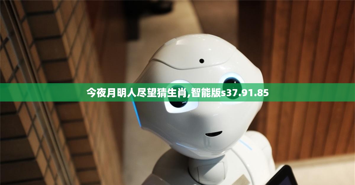 今夜月明人尽望猜生肖,智能版s37.91.85