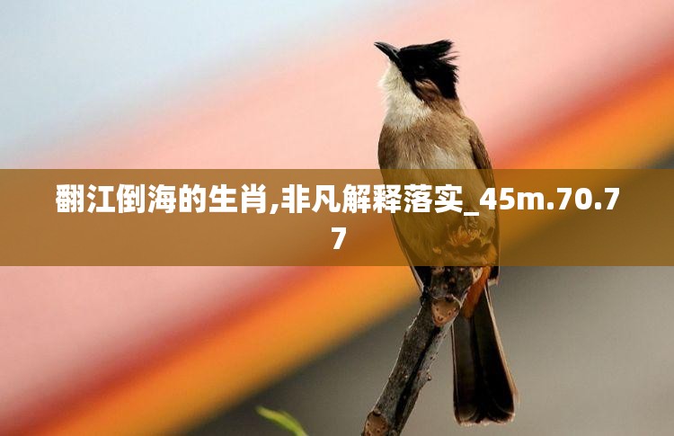 翻江倒海的生肖,非凡解释落实_45m.70.77