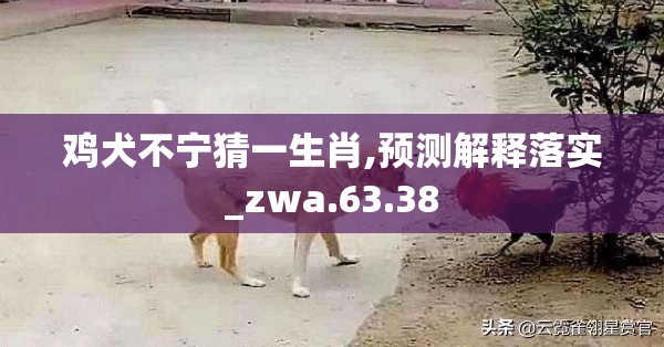 上海莲画科技有限公司 第608页