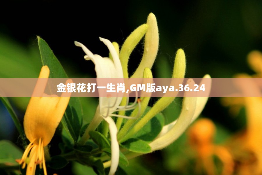 金银花打一生肖,GM版aya.36.24
