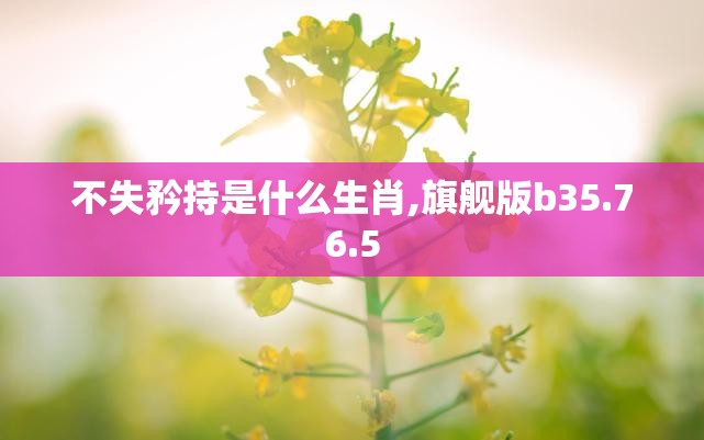不失矜持是什么生肖,旗舰版b35.76.5