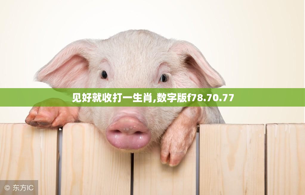 见好就收打一生肖,数字版f78.70.77
