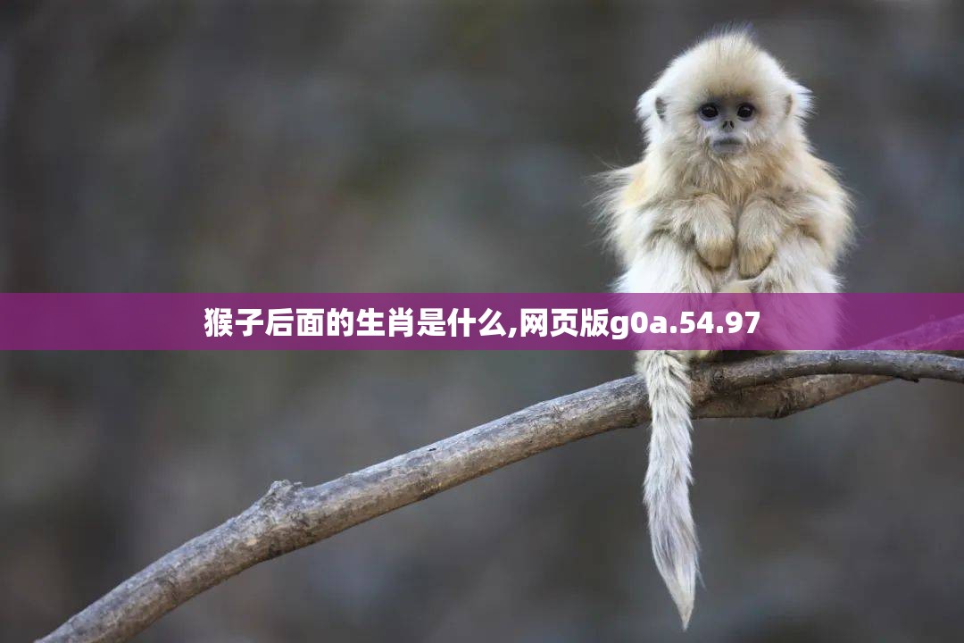 猴子后面的生肖是什么,网页版g0a.54.97