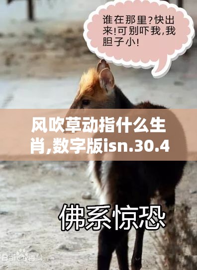 风吹草动指什么生肖,数字版isn.30.43