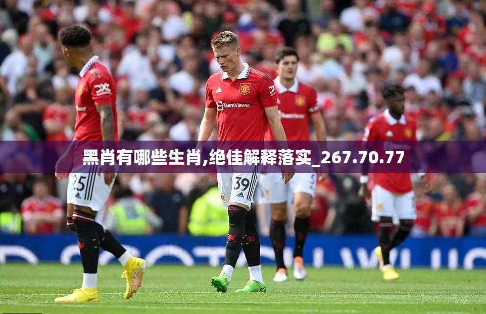 黑肖有哪些生肖,绝佳解释落实_267.70.77