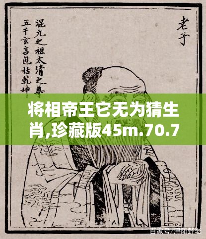 上海莲画科技有限公司 第594页