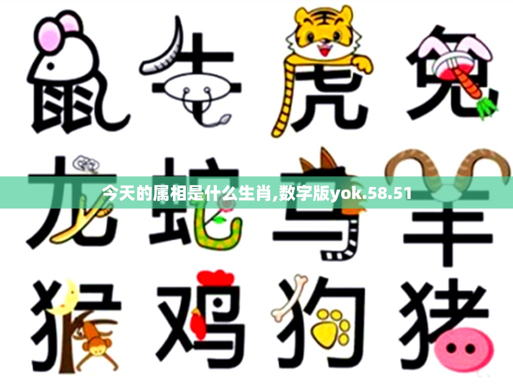今天的属相是什么生肖,数字版yok.58.51