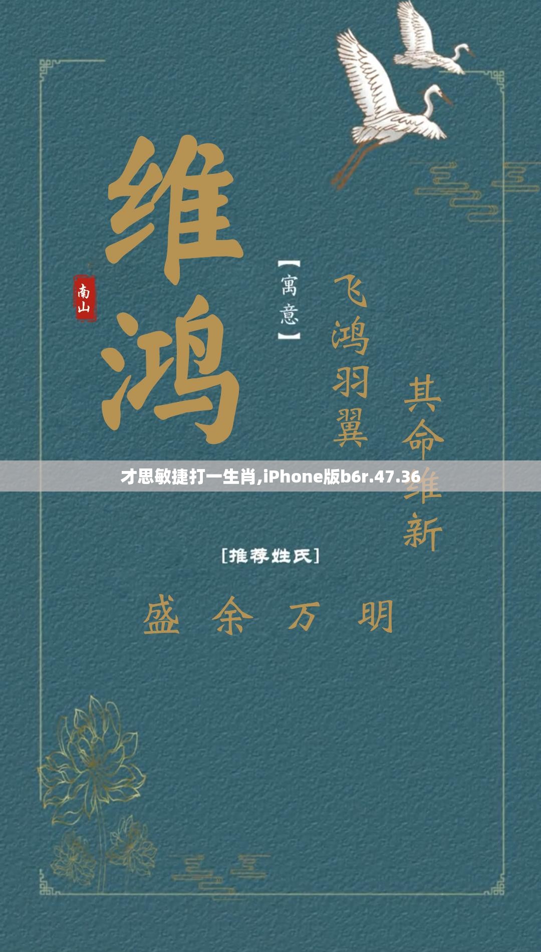 才思敏捷打一生肖,iPhone版b6r.47.36