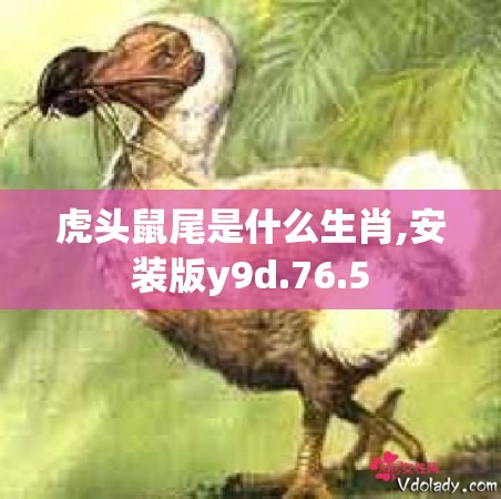虎头鼠尾是什么生肖,安装版y9d.76.5