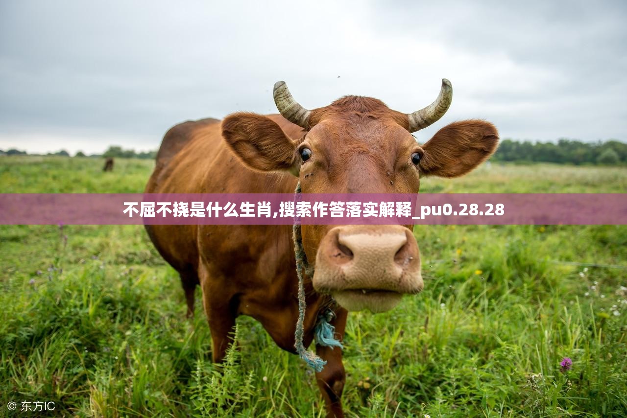 不屈不挠是什么生肖,搜索作答落实解释_pu0.28.28