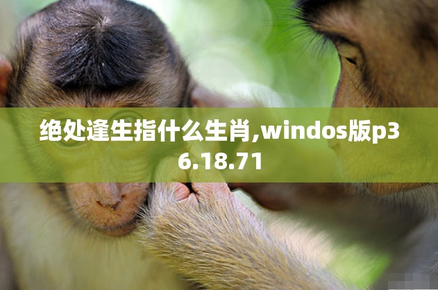 上海莲画科技有限公司 第587页
