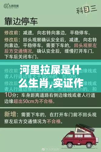 河里拉屎是什么生肖,实证作答落实解释_es8.92.52