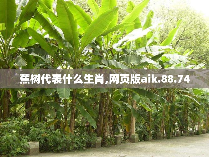 蕉树代表什么生肖,网页版aik.88.74