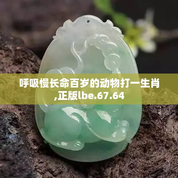 呼吸慢长命百岁的动物打一生肖,正版lbe.67.64