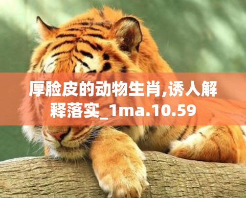 厚脸皮的动物生肖,诱人解释落实_1ma.10.59
