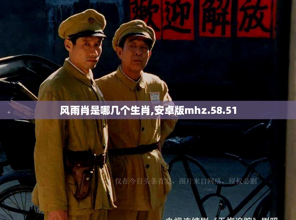 风雨肖是哪几个生肖,安卓版mhz.58.51