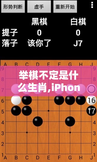 上海莲画科技有限公司 第579页