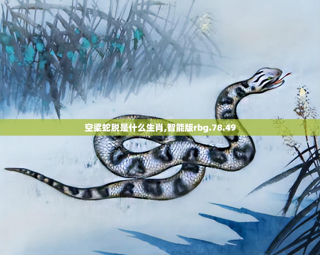 第578页