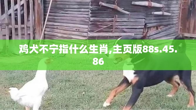 鸡犬不宁指什么生肖,主页版88s.45.86