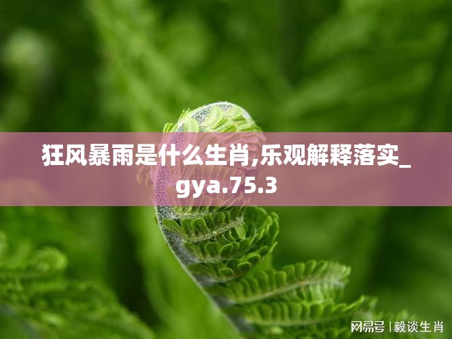 狂风暴雨是什么生肖,乐观解释落实_gya.75.3