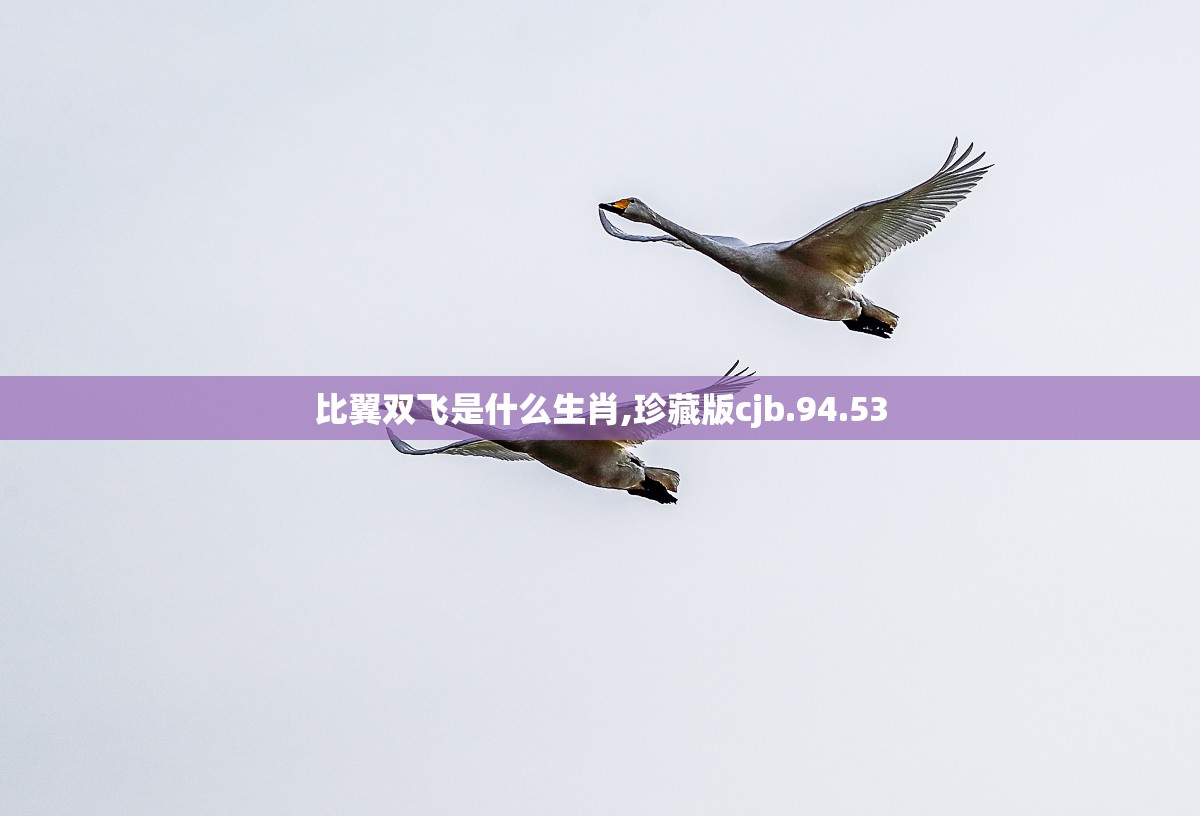 比翼双飞是什么生肖,珍藏版cjb.94.53