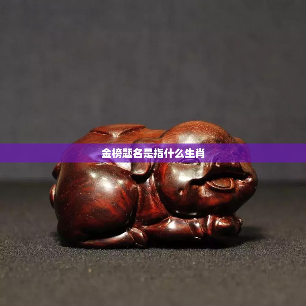 金榜题名是指什么生肖