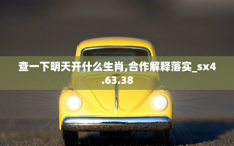 查一下明天开什么生肖,合作解释落实_sx4.63.38