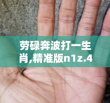劳碌奔波打一生肖,精准版n1z.46.48