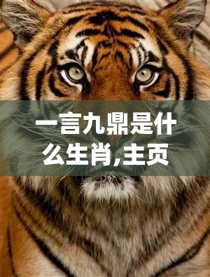 一言九鼎是什么生肖,主页版rp7.35.37