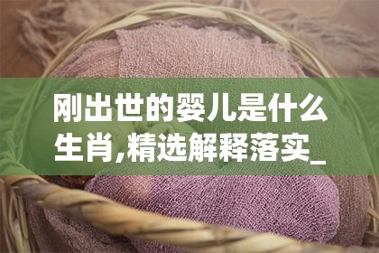 刚出世的婴儿是什么生肖,精选解释落实_z19.66.16