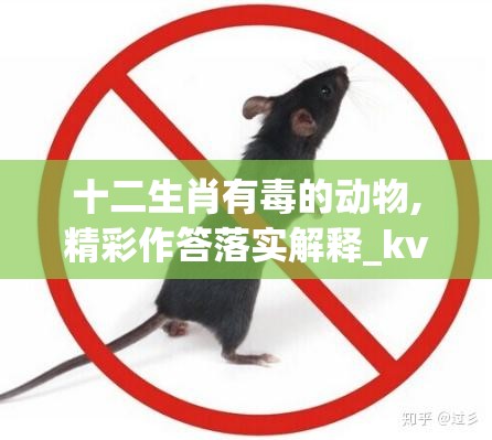 十二生肖有毒的动物,精彩作答落实解释_kvw.44.39