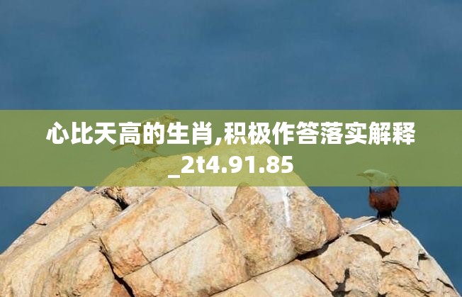 心比天高的生肖,积极作答落实解释_2t4.91.85