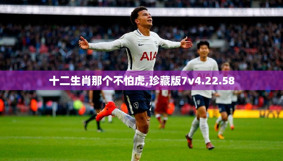 十二生肖那个不怕虎,珍藏版7v4.22.58