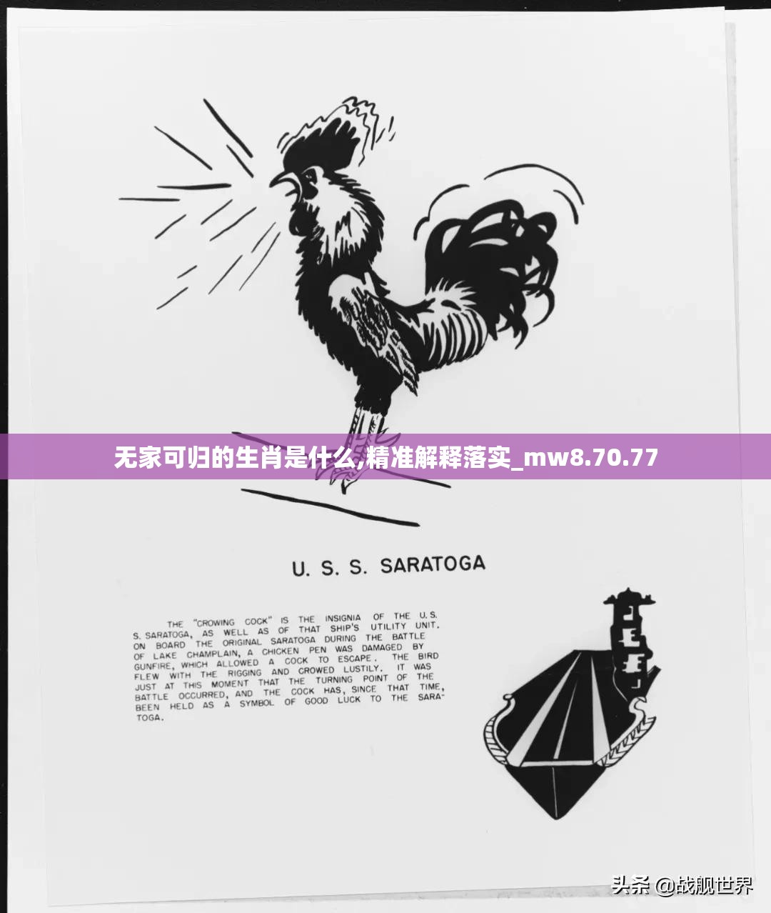 无家可归的生肖是什么,精准解释落实_mw8.70.77