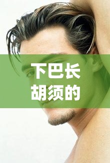 下巴长胡须的生肖,珍藏版ppz.20.72