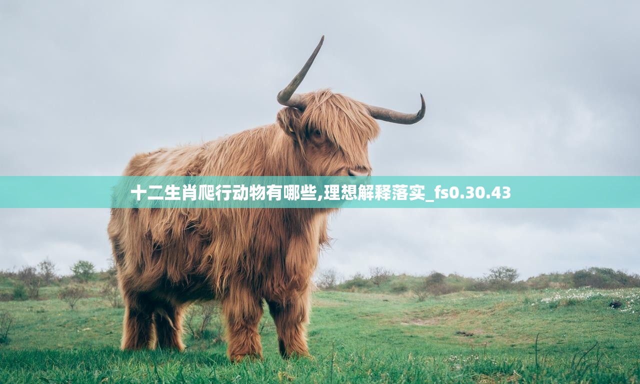 十二生肖爬行动物有哪些,理想解释落实_fs0.30.43