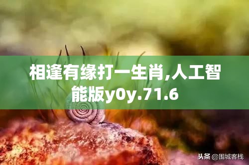 相逢有缘打一生肖,人工智能版y0y.71.6