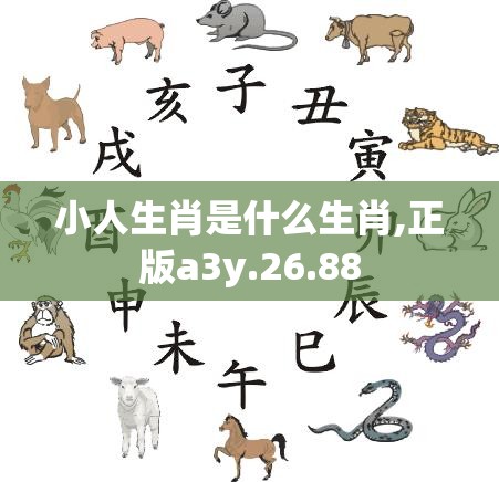 小人生肖是什么生肖,正版a3y.26.88