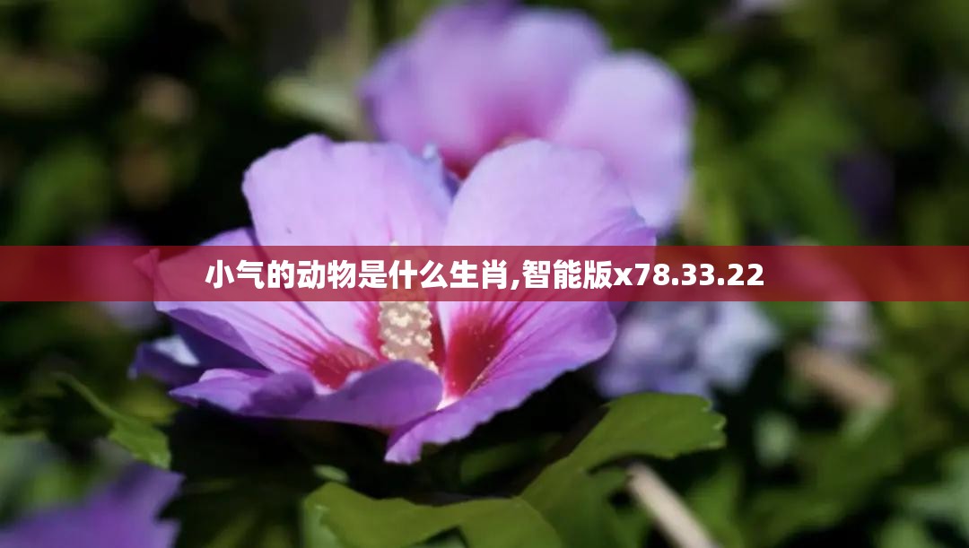 小气的动物是什么生肖,智能版x78.33.22