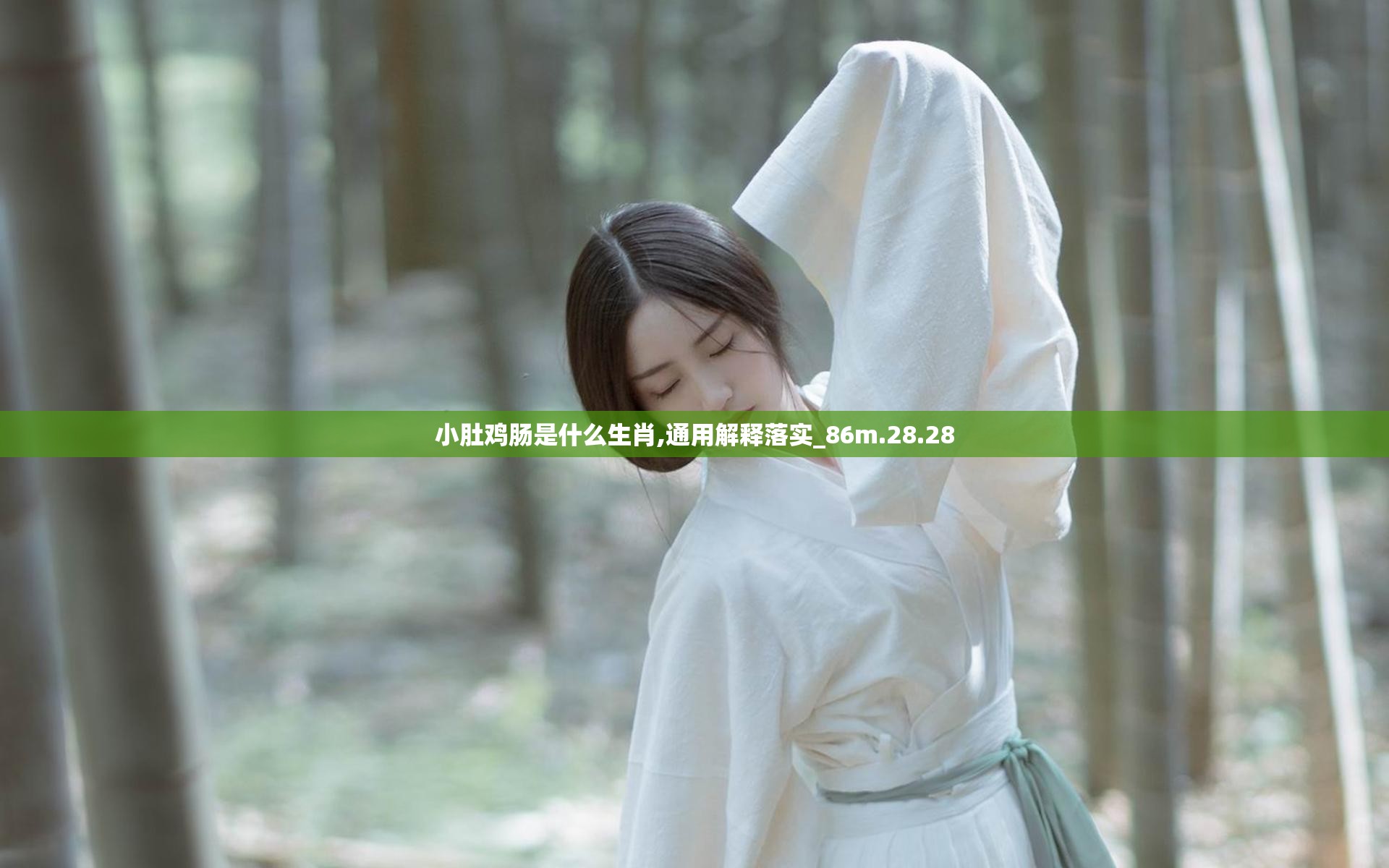 小肚鸡肠是什么生肖,通用解释落实_86m.28.28