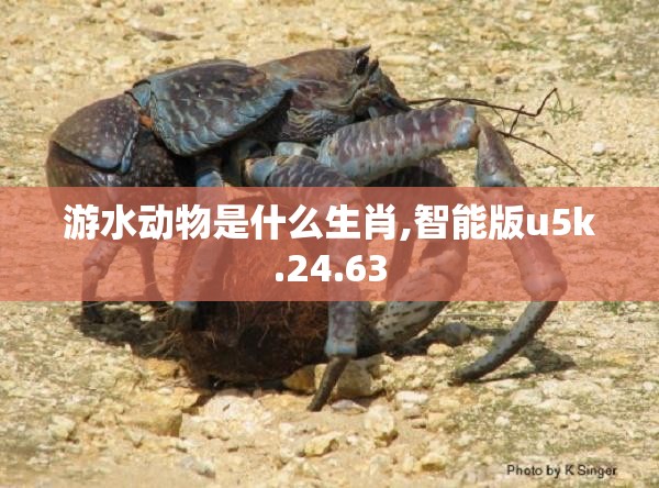 游水动物是什么生肖,智能版u5k.24.63